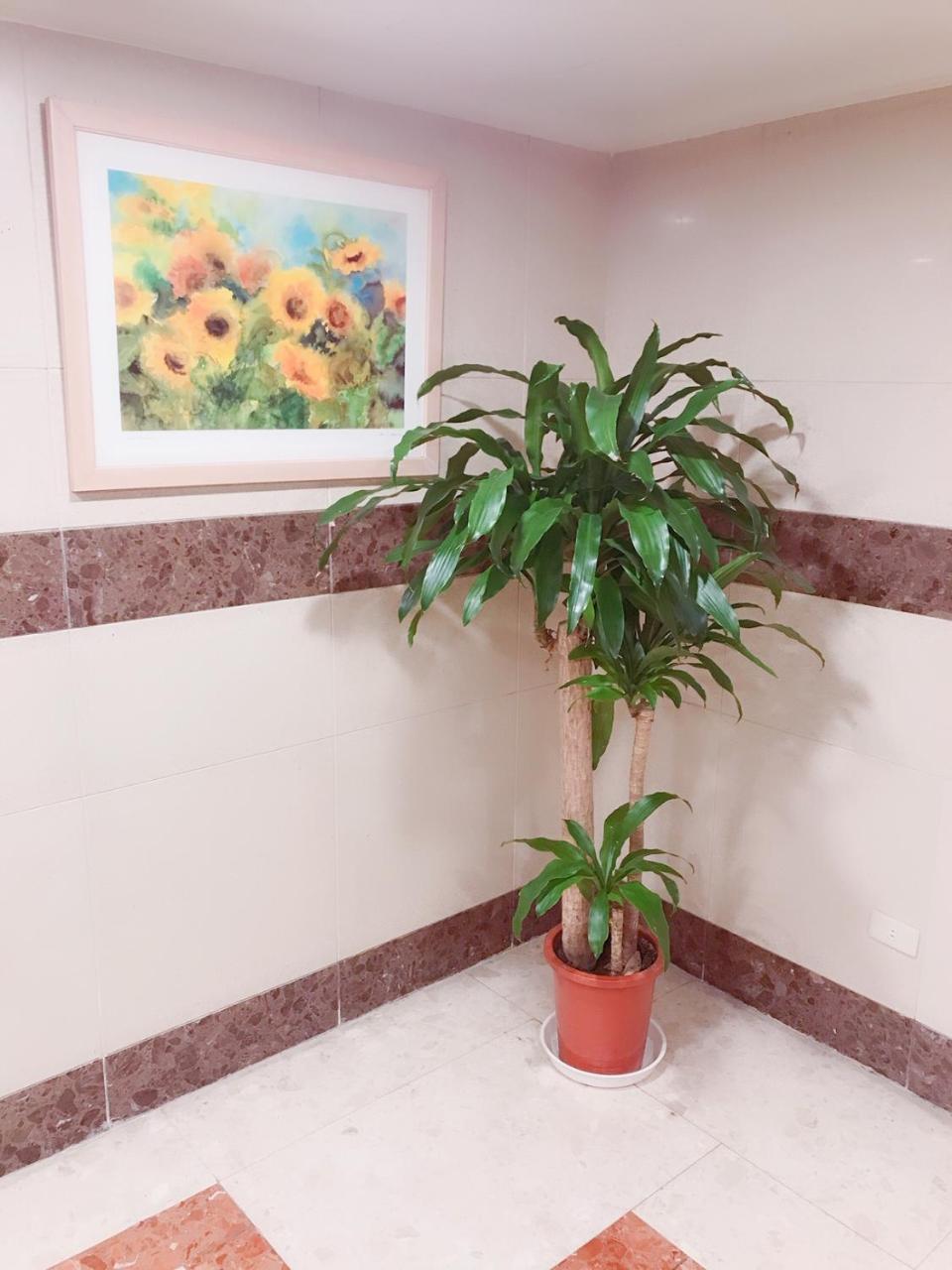 שינדיאן The Koos Hotel מראה חיצוני תמונה